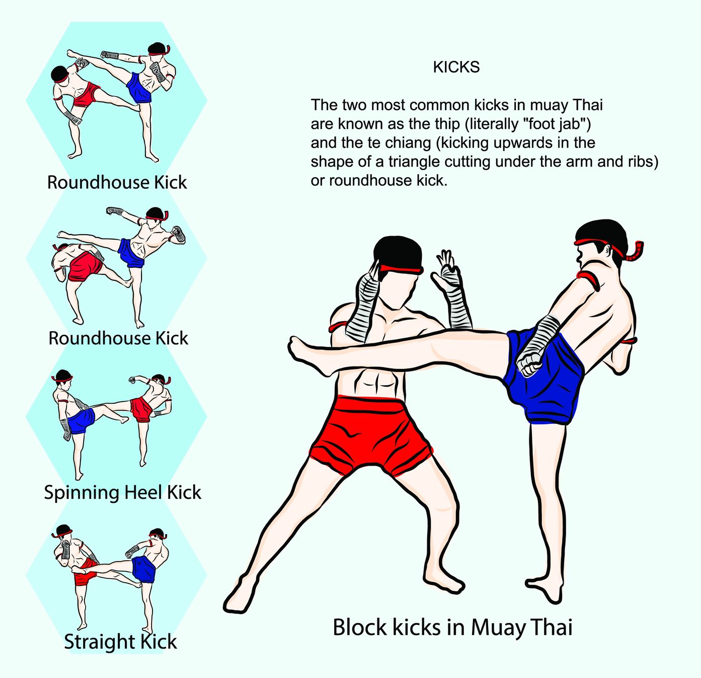 Regras Do Muay Thai