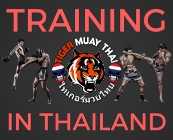 Muay Thai Training in Thailand