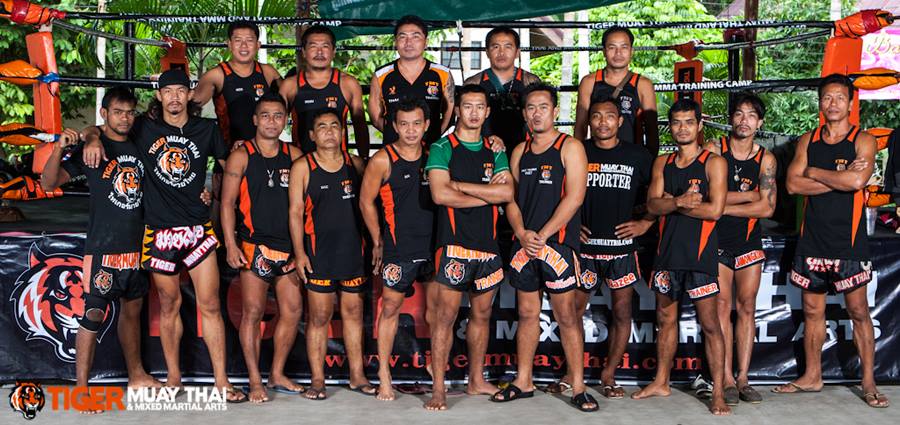 Tiger Muay Thai Gym Trainers